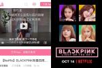 Fanpage đầu tàu của BLACKPINK tại Việt Nam lên thớt vì fake news và thái độ lồi lõm-12