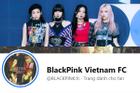 Fanpage đầu tàu của BLACKPINK tại Việt Nam 'lên thớt' vì fake news và thái độ 'lồi lõm'