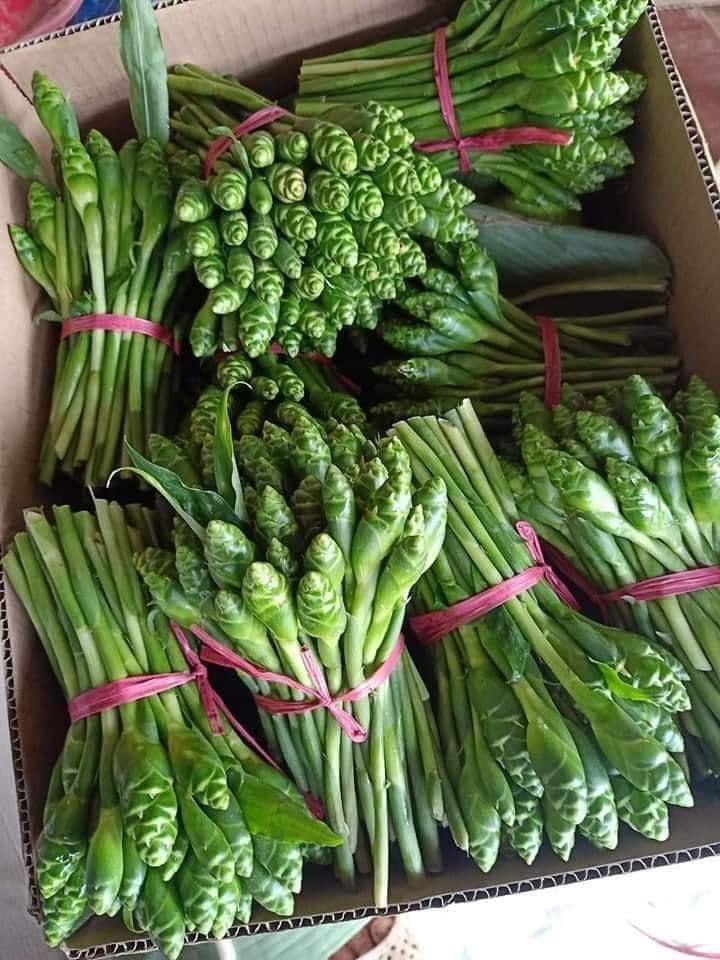 Hoa gừng Sơn La - món ăn với cái tên lạ này đang sốt sình sịch trên chợ mạng-4