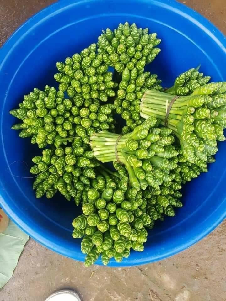 Hoa gừng Sơn La - món ăn với cái tên lạ này đang sốt sình sịch trên chợ mạng-6