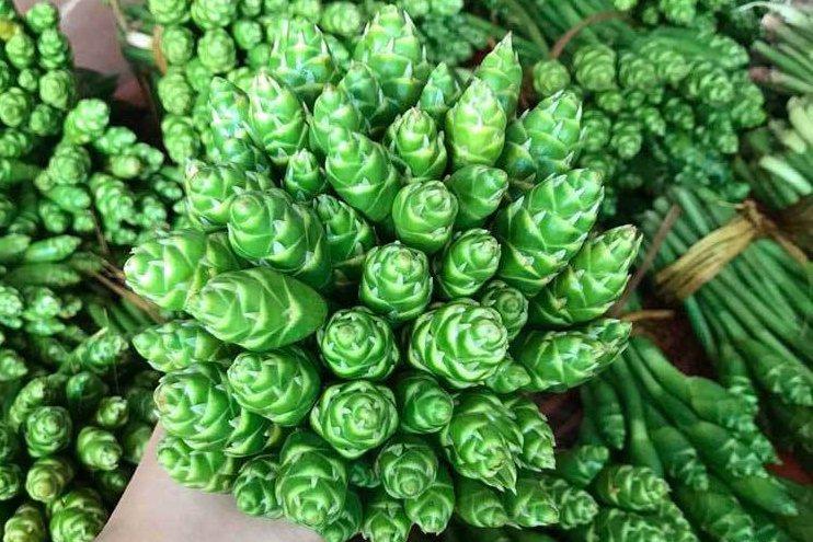 Mua nhiều gừng về, cho thêm ngay nguyên liệu này vào gừng để nửa năm cũng không hỏng-5