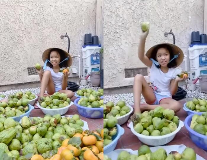 Việt Hương tuyên bố đến tận nhà xử lý kẻ chê bai con gái-1