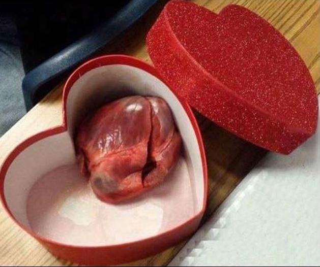 Quà 20/10 bá đạo của các ông chồng khiến vợ khóc không được, cười chẳng xong-4