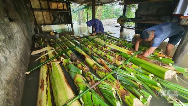 Giải cứu cụ già bị gãy cả tay cả chân khỏi rốn lũ Quảng Bình-6