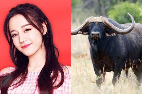 Tháng 9 âm, những con giáp cẩn thận làm kinh doanh kẻo thất thoát lớn-2