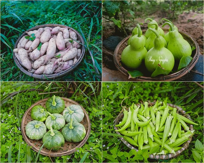 Con gái khoe khu vườn lủng lỉu hoa thơm trái ngọt của ba siêu nhân khiến cả nhà tự hào-4