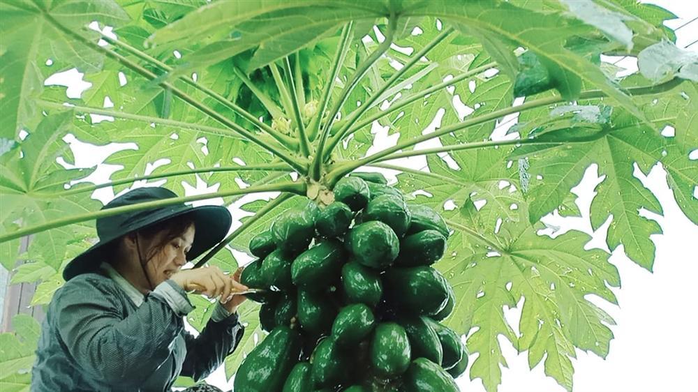 Con gái khoe khu vườn lủng lỉu hoa thơm trái ngọt của ba siêu nhân khiến cả nhà tự hào-5