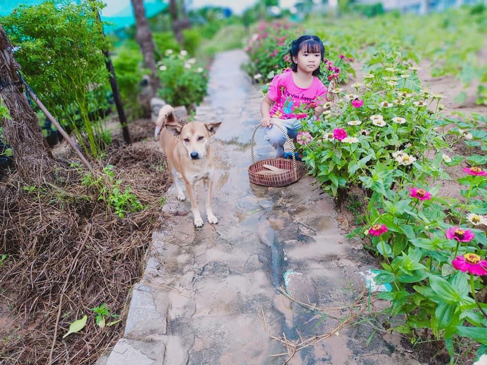 Con gái khoe khu vườn lủng lỉu hoa thơm trái ngọt của ba siêu nhân khiến cả nhà tự hào-7