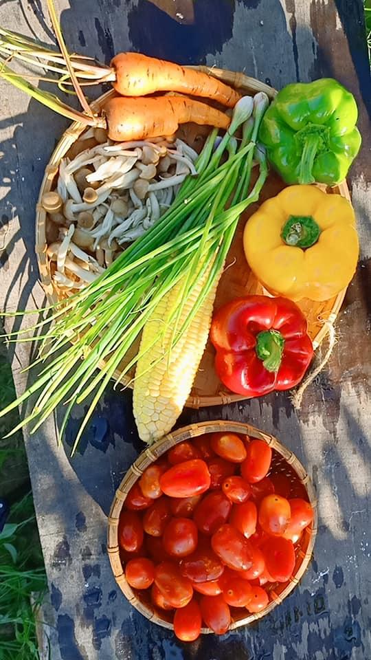 Con gái khoe khu vườn lủng lỉu hoa thơm trái ngọt của ba siêu nhân khiến cả nhà tự hào-11