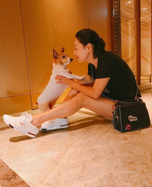 Huệ Ánh Hồng: đả nữ Hong Kong từng đi ăn xin, tìm đến cái chết vì lỡ dại chụp ảnh nóng-16