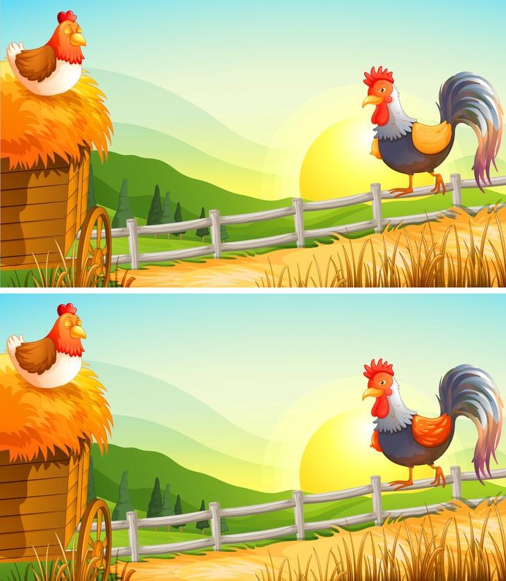 Mỗi hình có 1 điểm khác biệt, nếu bạn tìm ra trong vòng 5 giây, bạn có khả năng là thiên tài đó-4