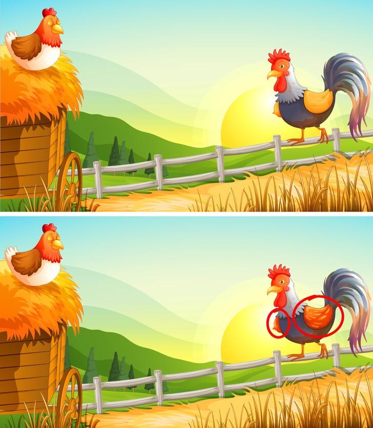 Mỗi hình có 1 điểm khác biệt, nếu bạn tìm ra trong vòng 5 giây, bạn có khả năng là thiên tài đó-10