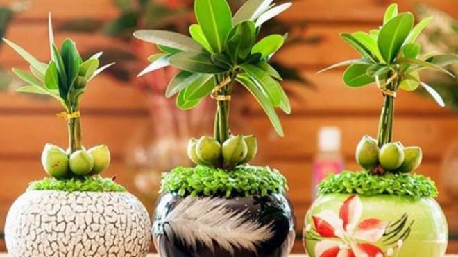 Ngôi nhà sở hữu 7 điều đại cát này, gia chủ vô cùng may mắn, ở lâu sinh phú quý-4