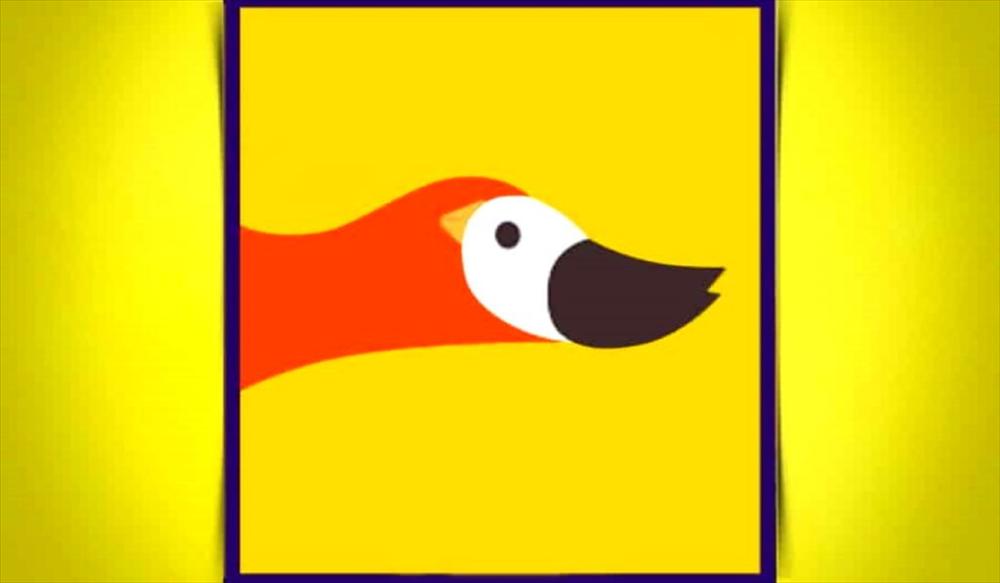 Bạn nhìn thấy con chim hay con vịt? Câu trả lời tiết lộ bạn là người thực tế hay mộng mơ?-1