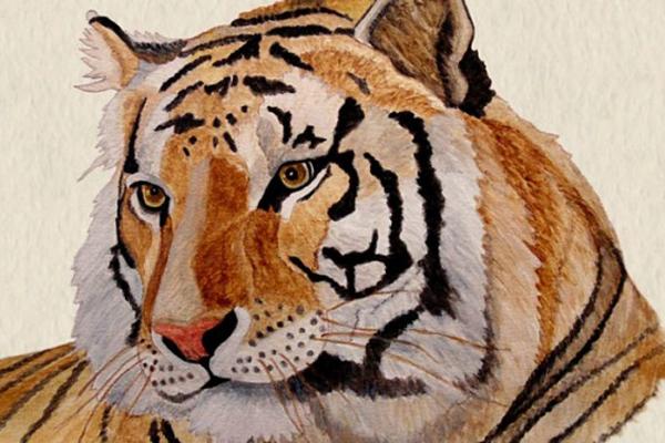 Top 3 con giáp nữ khó bị lừa tình nhất-4