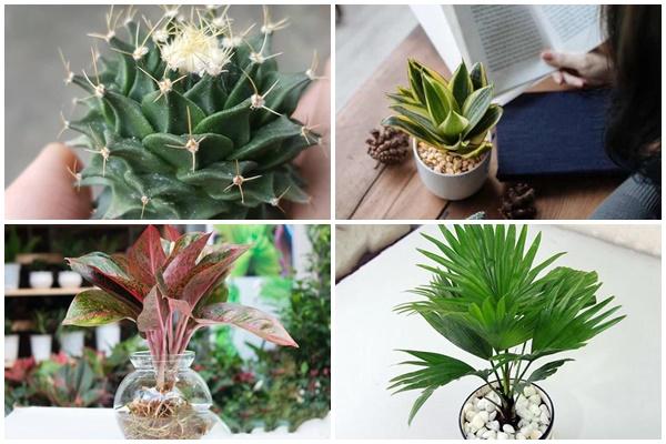 Từ giờ đến hết năm 2020, 3 con giáp này vận may tới tấp, tiền bạc vào đầy túi-4