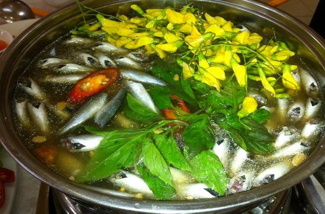 Chìm đắm trong màu xanh mê hoặc của rừng tràm Trà Sư mùa nước nổi-8