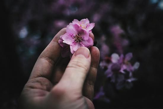 Tử vi 12 con giáp thứ 5 ngày 22/10/2020: Ai được quý nhân phù trợ?