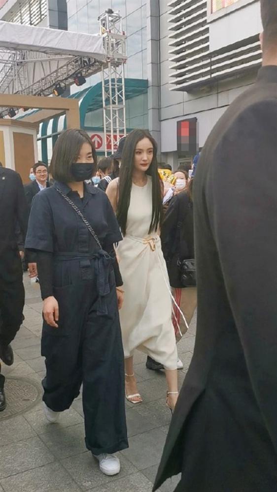 Sốc với nhan sắc thật của Trịnh Sảng, gương mặt tiều tụy, tóc tai xơ xác tới khó nhận ra-5