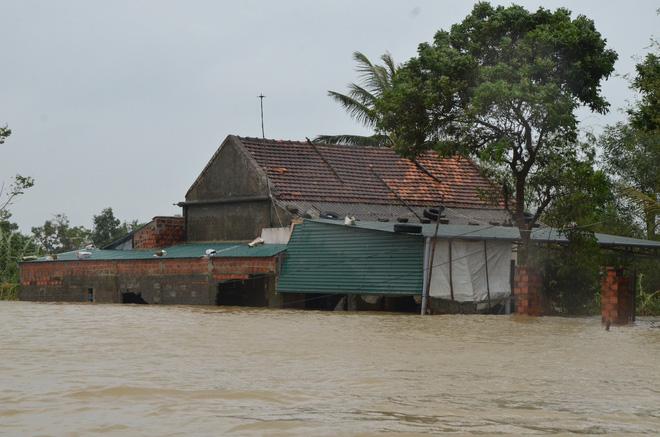 Cụ ông bật khóc nức nở khi được trao suất cơm nóng giữa biển nước mênh mông-5