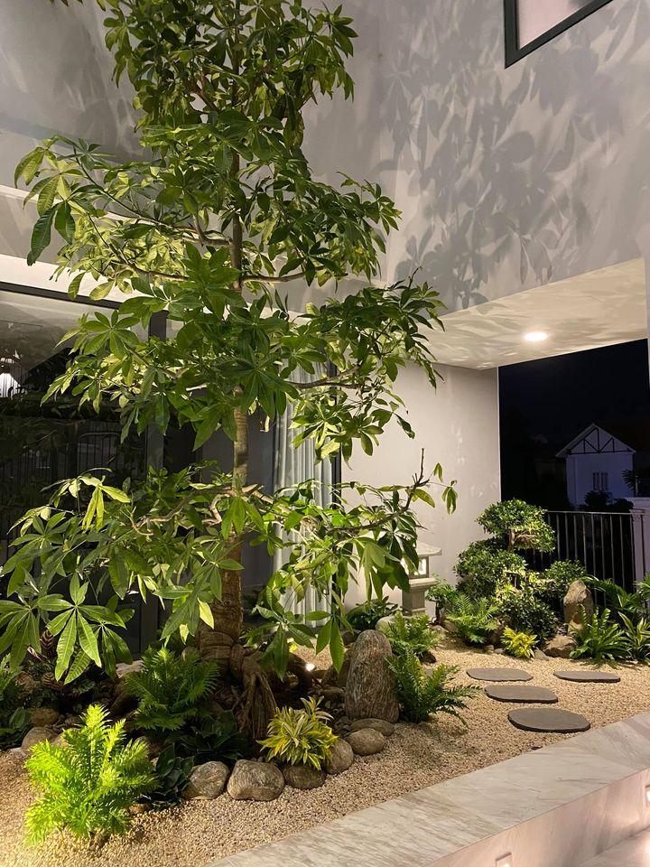 Hé lộ không gian sống mới cực sang chảnh trong biệt thự Cường Đô La-8