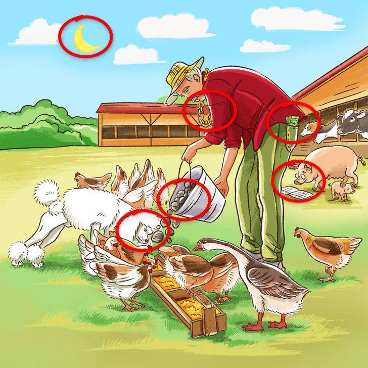 Bạn có đủ tinh mắt để tìm ra được tất cả lỗi sai trong ảnh?-11