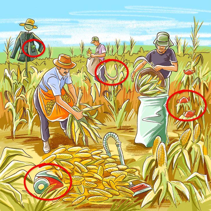 Bạn có đủ tinh mắt để tìm ra được tất cả lỗi sai trong ảnh?-19