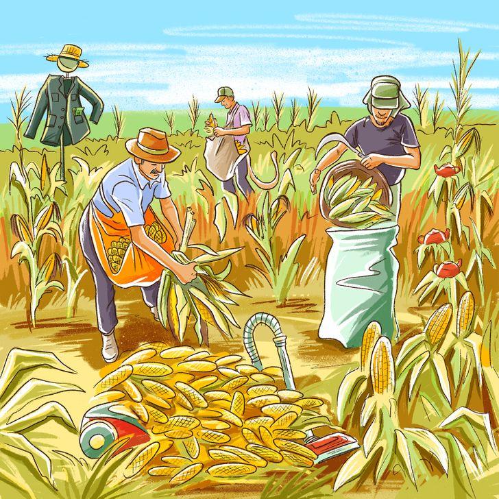 Bạn có đủ tinh mắt để tìm ra được tất cả lỗi sai trong ảnh?-9