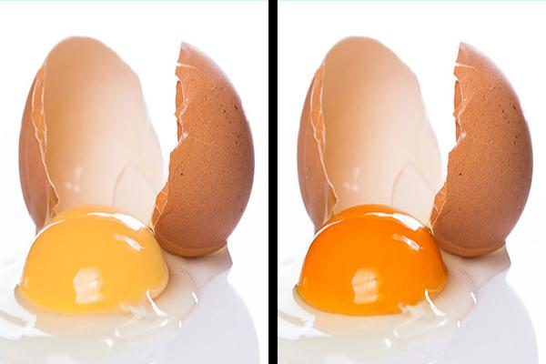 Những mẹo kiểm tra thực phẩm đơn giản không phải ai cũng biết-2