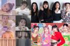 Hot Kpop 24/10: BLACKPINK và IU đều bị sao chép trắng trợn từ concept đến MV