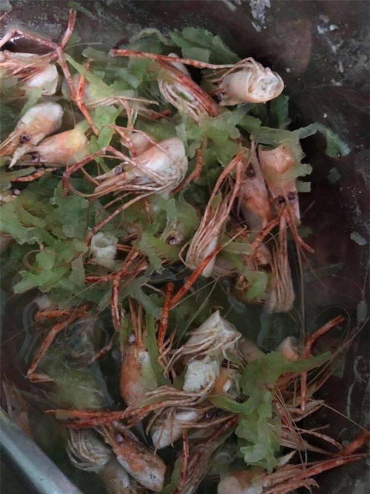 Loạt ảnh chứng minh hội đoảng hễ vào bếp là tạo ra thảm họa, kể cả nấu rau cũng bất thành-3