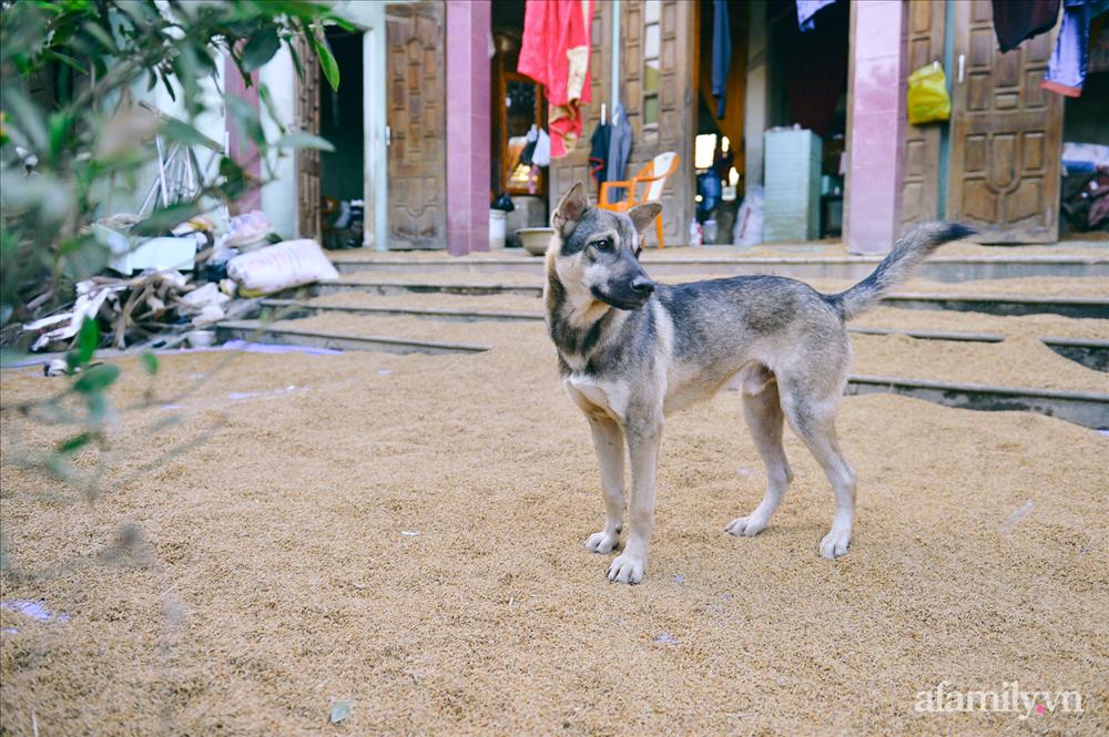 Ký ức người chết hụt trong trận đại hồng thủy 70 năm mới thấy một lần-5