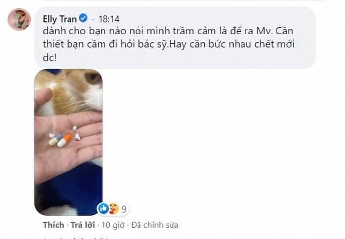 Elly Trần gay gắt đáp trả khi bị nói giả vờ trầm cảm để tạo chiêu trò thu hút sự chú ý-4