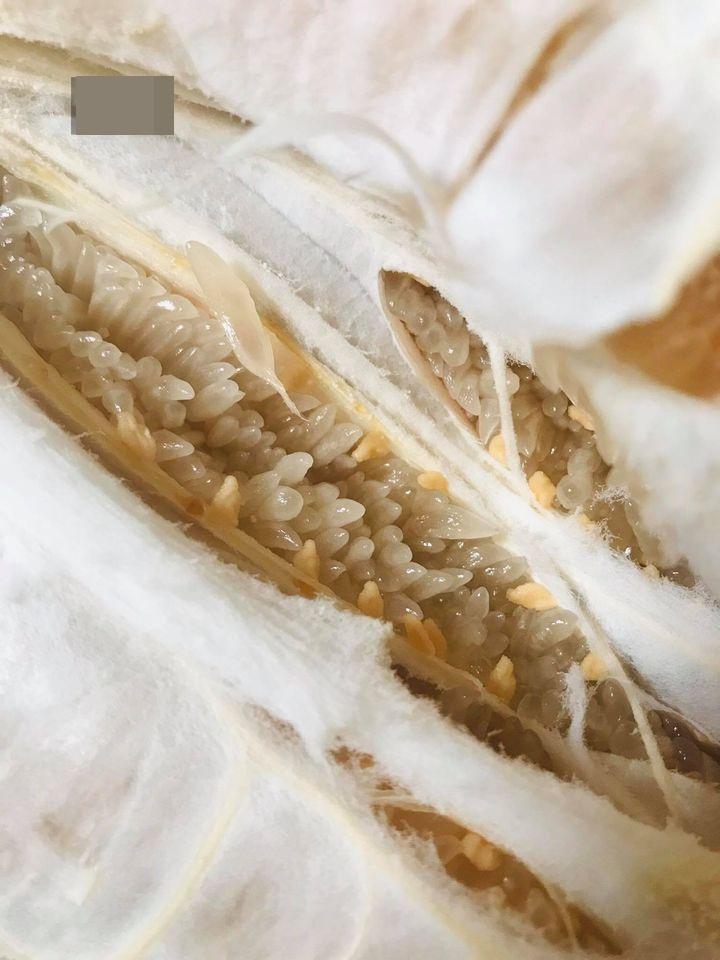 Hí hửng tưởng được vợ nấu chè bưởi hạt sen cho ăn, anh chồng nín lặng khi đọc tin nhắn-3