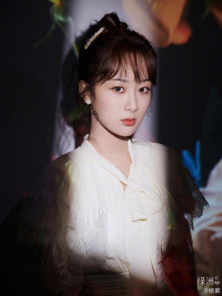 Vì sao Lý Liên Kiệt, Lâm Tâm Như bị phản ứng khi làm từ thiện?-3