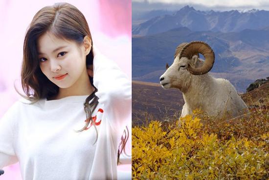 Cuối tháng 9 âm lịch, những con giáp tiền vào như nước, kinh doanh thắng lớn