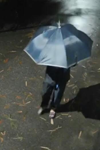 Công an Hà Nội truy tìm đối tượng cầm ô đi cướp tài sản-1