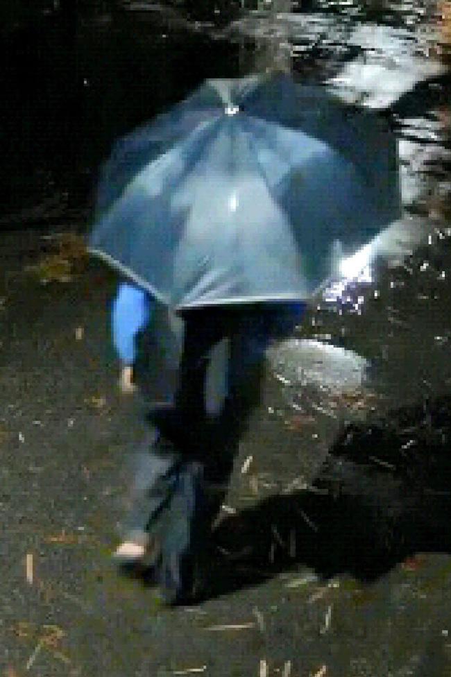 Công an Hà Nội truy tìm đối tượng cầm ô đi cướp tài sản-2