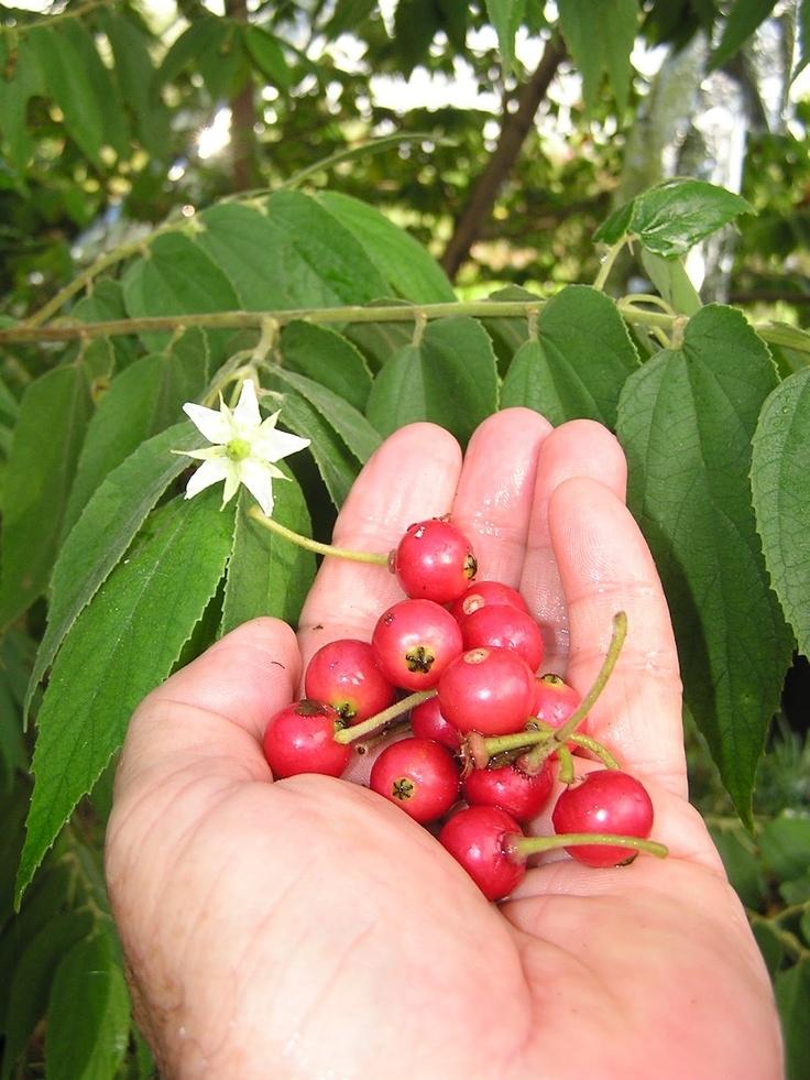 Trở về tuổi thơ xin mẹ một nghìn mua hàng loạt đồ ăn vặt huyền thoại của thế hệ 8x,9x-11