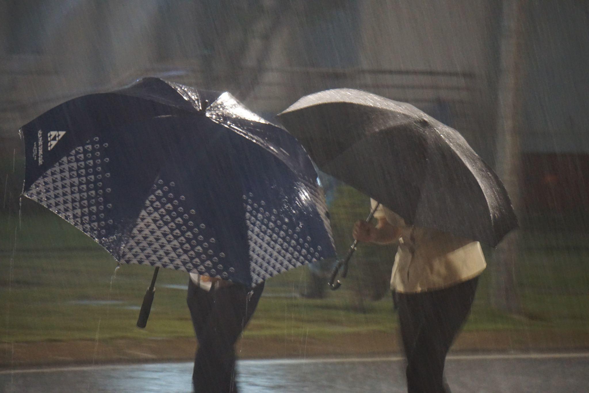 6h sáng, bão số 9 áp sát đất liền: Quảng Ngãi, Quảng Nam mưa rất lớn, gió rít liên tục-3