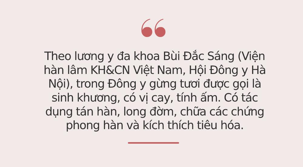 Ở Việt Nam có 3 loại củ rẻ như cho nhưng công dụng lại sánh ngang thuốc quý-2