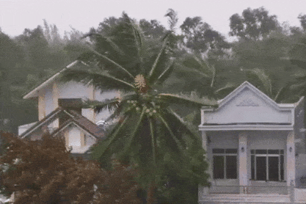 Clip: Chết cười thanh niên phanh ngực nhún nhảy giữa trời thách thức bão giông-7