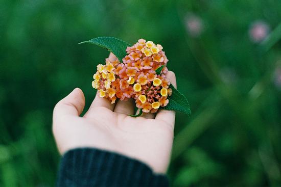 Tử vi thứ Năm ngày 29/10/2020 của 12 con giáp: Thân nhân duyên tốt, Mùi nên khiêm tốn