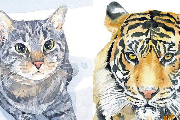 Cuộc sống của các cung hoàng đạo này sẽ gặp nhiều thử thách nhất trong tháng Bọ Cạp-3