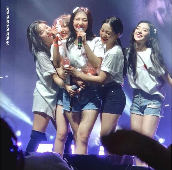 Fan Red Velvet sống chết bảo vệ Irene trước cơn bão bị đòi đuổi khỏi nhóm-1