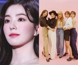 Fan Red Velvet 'sống chết' bảo vệ Irene trước cơn bão bị đòi đuổi khỏi nhóm