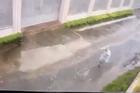 Clip: Cô gái đang đi bộ dưới trời mưa bị bức tường đổ vào nằm bất động