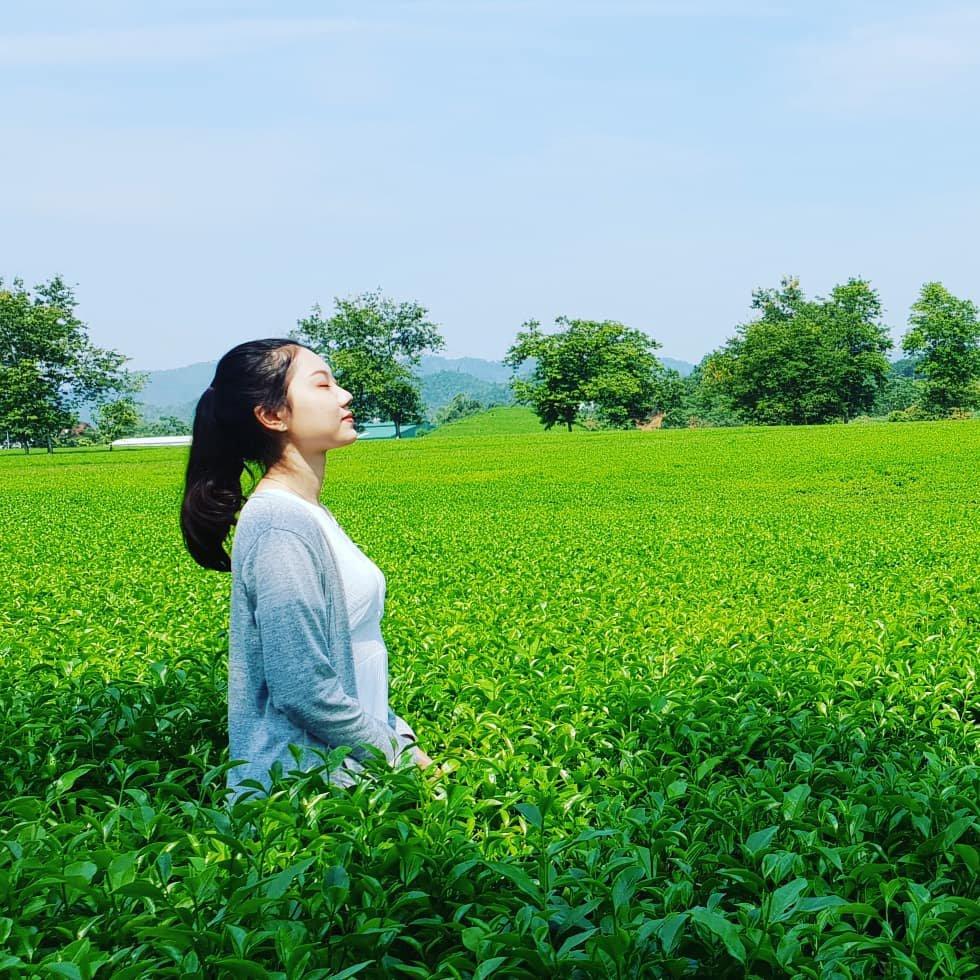 Rủ đám bạn đi check-in ngay những đồi chè đẹp thơ mộng nhất Việt Nam-1