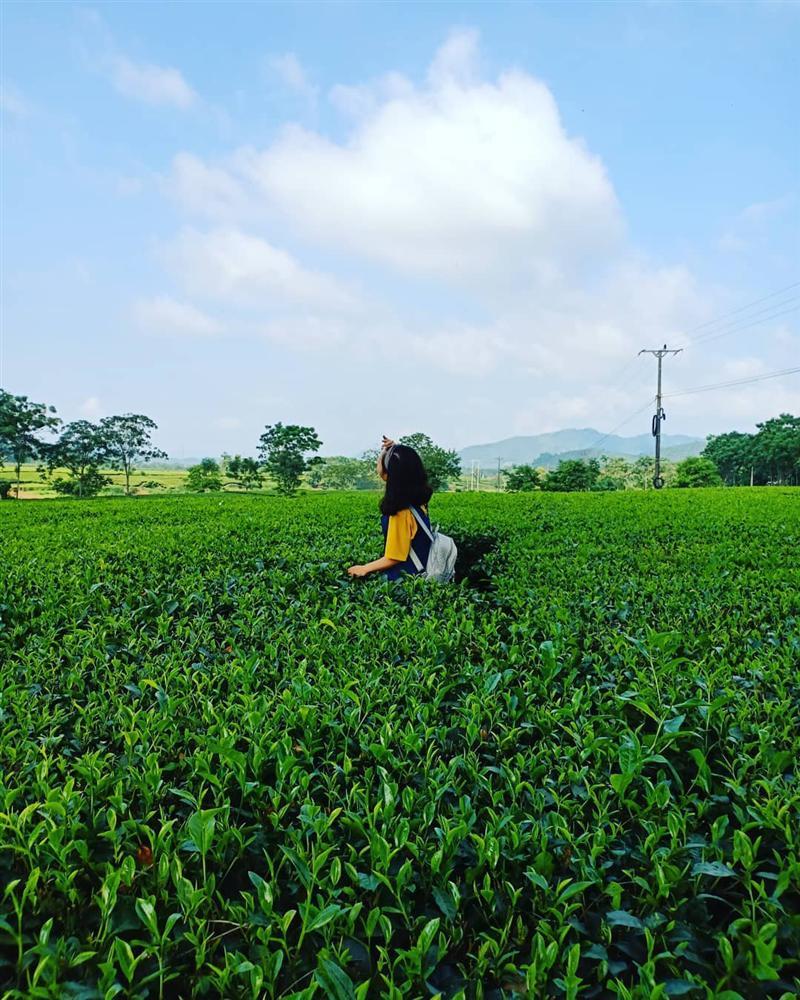 Rủ đám bạn đi check-in ngay những đồi chè đẹp thơ mộng nhất Việt Nam-4