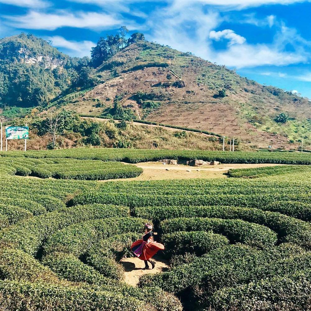 Rủ đám bạn đi check-in ngay những đồi chè đẹp thơ mộng nhất Việt Nam-7